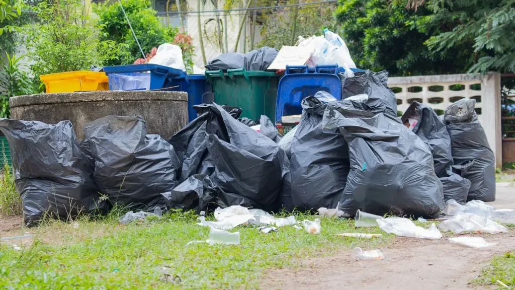 Trash Rubbish Removal in JVT