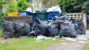 Trash Rubbish Removal in JVT
