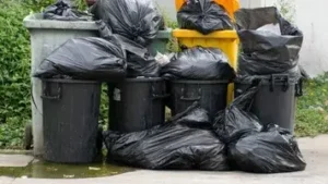 Junk Removal Service Near Me