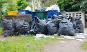 Junk Removal in Mirdif Dubai