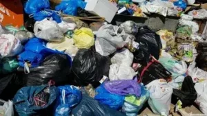 Same Day Junk Removal in Al Quoz
