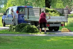 Garden Waste Removal in Al Sufouh