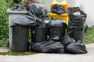 Garbage Clearance in Al Barari