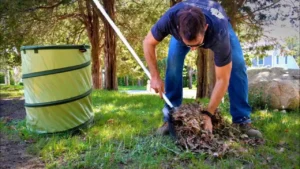 Garden Rubbish Removal Dubai