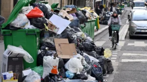 Junk Removal in The Greens