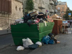 Junk Removal in The Views